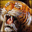 Neron2